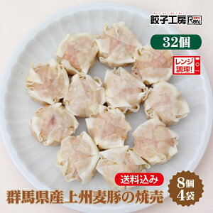 QnYB؂̏Ĕ 32 (8×4) ^  (ʓrj ܂̌b V[Y Qn ̐Hނ𒆐SɎgp B [ QnY ؓ Lxc 傤  gp ] [ w