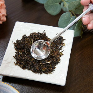 yVozyeB[W[OXv[ESILVERzyzltFg FX g Mtg ANZT[ uh  v Xv[ XeX v`Mtg v[g  