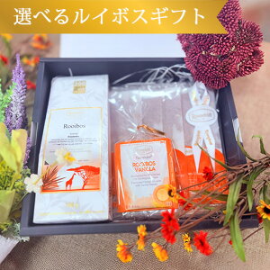 ymJtFC Iׂ100gtƃeB[obO C{XeB[ Zbgzyz g t Mtg O[C{XeB[  Ԃ IW LO v[g j u