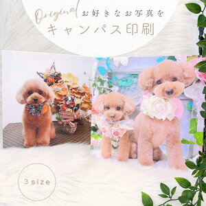 DȂʐ^LpXvgʐ^ IWi Ǐ 15cm 25cm 35cm 50cm 70cm ʐ^pl EH[fR yT[rXz LoXn G敗 XNGAmini ߃TCY ܂ 