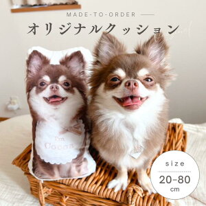 ���D���Ȏʐ^�ō��� �I���W�i�� �N�b�V���� 20cm 30cm 40cm 50cm 60cm 70cm 80cm ��������N�b�V���� �N�b�V�����J�o�[ �����̎q �v���[���g �M�t�g �I���W�i���O�b�Y �C���e���A �ʐ^ ���� ����N