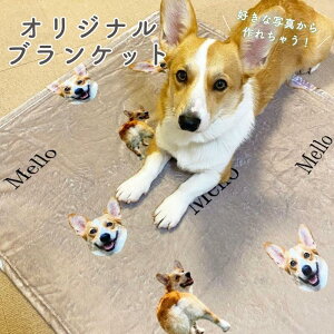 XS-XL�T�C�Y ���D���Ȏʐ^�ō����I���W�i�� �u�����P�b�g �^�I���P�b�g �G�|�� ���₷�݃}�b�g �ѕz �z�c �����Q�ѕz �����Q �v�����g ��񂿂�� �����̎q �v���[���g �M�t�g �I���W�i