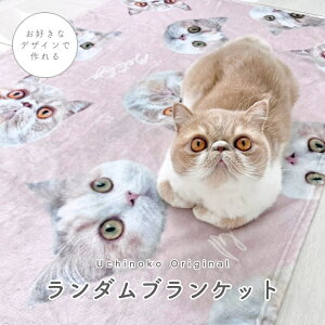 �y���D���Ȃ��ʐ^�ō���z�I���W�i�� �����_�� �u�����P�b�g �^�I���P�b�g �G�|�� ���₷�݃}�b�g �ѕz �z�c �����Q�ѕz �����Q �v�����g ��񂿂�� �����̎q �v���[���g �M�t�g �I���W