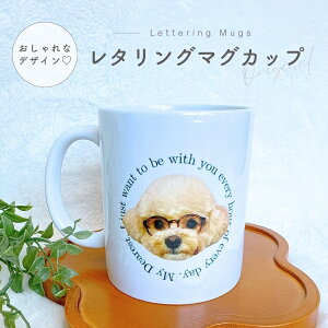 DȂʐ^ōIWi ^O }OJbv ^u[ Rbv }C{g IWiObY Mtg v[g ObY ̎qObY v[g }CRbv }C{