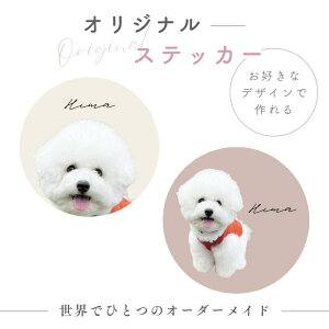 DȎʐ^ō ~` T[N IWiXebJ[ q  q̓ Ԃ ̎qObY XebJ[ q 蒠V[ LV[ J_[ 莆p V[ v[g M