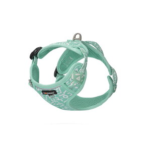 hbOlX n[lX GKg ^[RCY XS/S  n[lX ʋC XgX y i fUC  Mtg ܂Ƃߔ