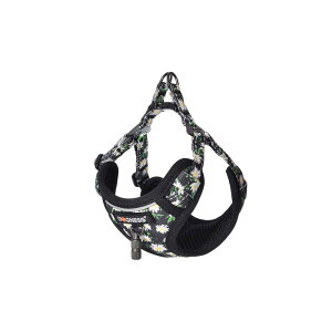 hbOlX [hn[lXZbg gXJ fCW[ubN  [h n[lX ʋC y Ռ XgX y i fUC  Mtg ܂Ƃߔ