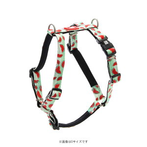 }bNXAh[[ pn[lX XCJ XS  n[lX XgX y i fUC  Mtg