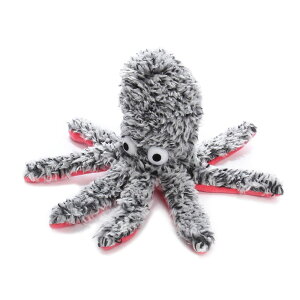 ROOP LbgtfB ^R L  lV ʂ ܂Ƃߔ