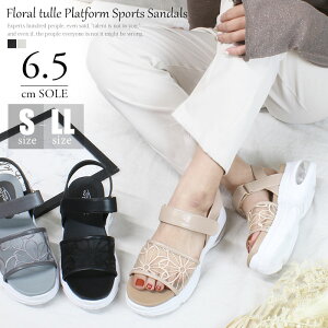 yT}[Z[15OFFzԕ `[ GA\[ X|[cT_ fB[X  ₷  kk-1376