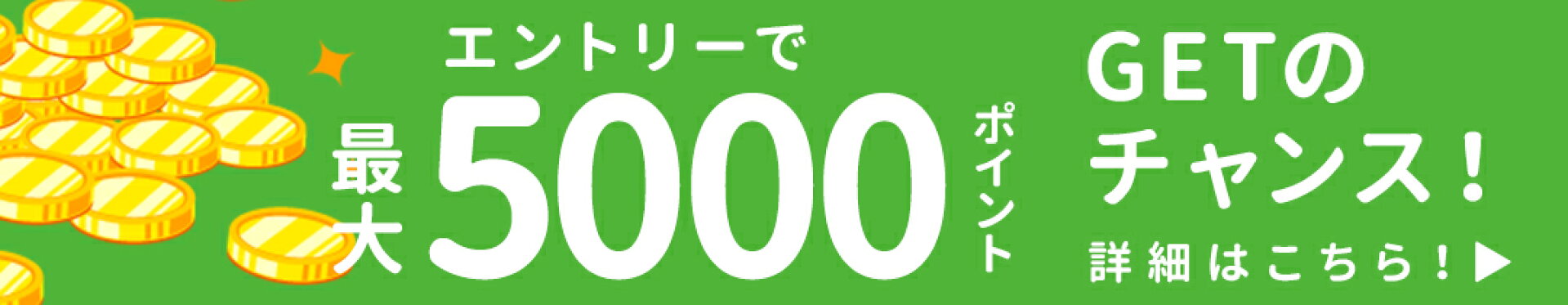 エントリーで最大5000P