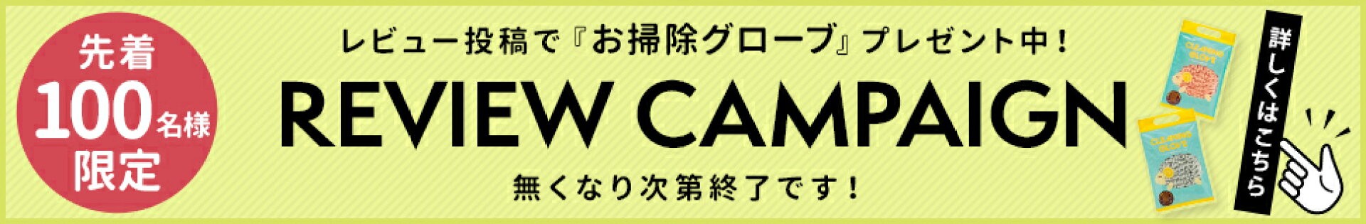 レビュー