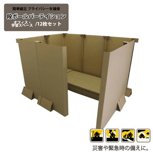 【店内全品対象!1000円OFFクーポン★24日20:00〜27日9:59まで】飛沫感染予防 段ボールパーティション(オフェス・学習スペース/12枚セット) パーテーション