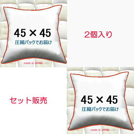 【2個セット販売】【送料無料】ヌードクッション 45×45cm クッション本体 クッション中身クッション中材 Pillow Insertクッションカバー用本体 Decorative Cushion 45x45