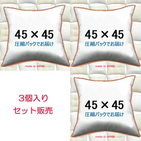 【3個セット販売】【送料無料】ヌードクッション 45×45cm クッション本体 クッション中身クッション中材 Pillow Insertクッションカバー用本体 Decorative Cushion 45x45