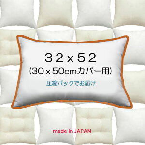 k[hNbV`@32×52cmi30x50cmJo[pj NbVg NbVށ@NbV{̃gXNbV@`NbV NbVPillow Insert@Lumbar CushionNbVJo