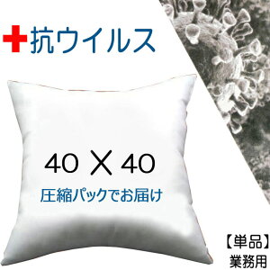 NEW@k[hNbV RECXH@RۖhLH@40×40cm PiNbV{ NbVgNbV Pillow InsertNbVJo[p{́@Ɩp40x40