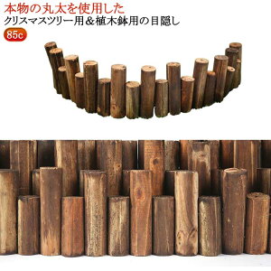 NX}Xc[ 85cm B t[tFX ۑ h ؐ ͂ EbhtFX ډB EbhtFX B Jo[ h EbhtFX Ԓd   O d؂ rB N