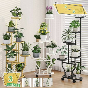 t[X^h ԑ v^[X^h K[fbN   LX^[t ԒI Aؔ K[fjO X`[ AI rO K[fjObN LX^[