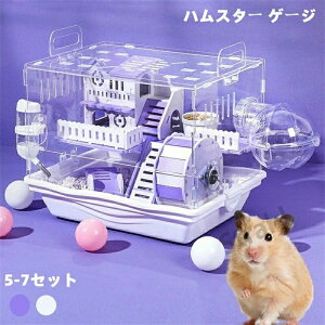 nX^[P[W 傫 nX^[nEX 7Zbg 2K |Cg  P[W 炩 L ʋCQ gȒP  ^ 񂵎 GTM {E ^ ߋV[\ 