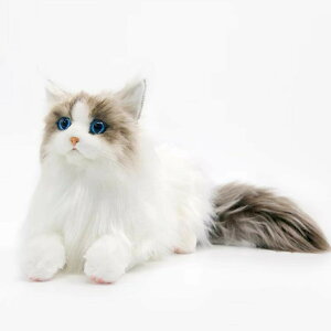 ʂ Oh[ L { A Q YQ   Aj} lR  NbV ܂ v[g D  ʐ^1 ̂ Əj