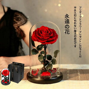 ̓ v[g vU[uht[ hCt[ o v[g KXh[ ͂Ȃ t[Mtg LEDCgt ̓ P[X KN Mtg{bNX 񂰑 bZ