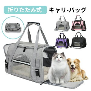 ybgL[obO ܂肽 傫 bN ybgL[ obN ybgobO L[obO Lp p ybgpi ^ ^ g~O h ʉ@ a@ hCu p 