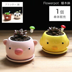 Aؔ Jo[ukvϗtA    y M sv Ap Ap K[ffR[V A v[gpj[NȐAؔ K[fjOI