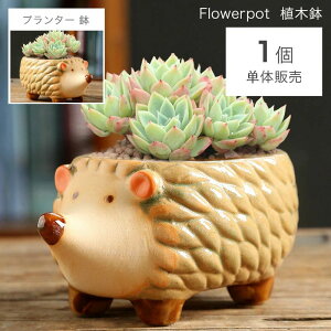 Aؔ Ap A v[gpj[NȐAؔ Ap K[ffR[V K[fjOIuWF  