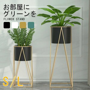 t[X^h  v^[X^h S[h ԑ  ACA v^[ X^h X ϗtA  |bg Jo[ t[ bN RpNg  Aؔ u   