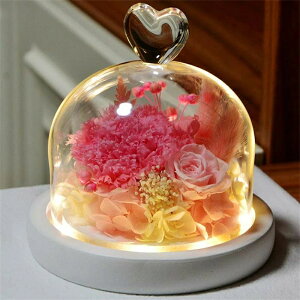 vU[uht[ J[l[V ỉ i ͂Ȃ Mtg v[g KX|bg hCt[ {bNXt LEDCgt Ǝ ̓ l l a j  