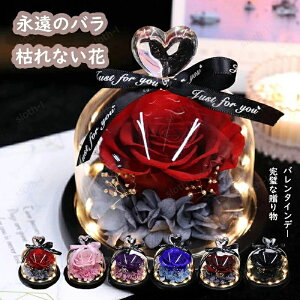 �n�[�g�̃K���X�J�o�[ �v���U�[�u�h�t�����[ LED���C�g�t�� �I�ׂ�6�� �p���b�g �o�� �a���� �v���[���g �o�����^�C�� ���� �� �c�� ���F�B ������� ���a���� �����j�� �����L�O�� ���ʉ� ��