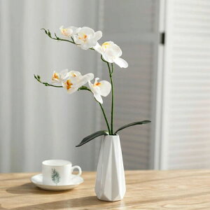 ~jTCY Ӓ  G} 2{ j A[gt[  STCY  sN v[g JX J@j  e[uTCY RpNg ̓ ̓ hV̓ {