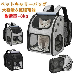 yg\E2WAYzLpbN ybgobNpbN g\ e ܂ L L[ bN  bN ybg L[obO ybgL[bN Lp p bN 