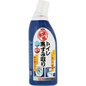 アイメディア　業務用　トイレ黒ずみ取り　300ml　トイレ洗剤　汚れ　プロ仕様