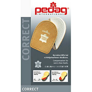 y[֑Ήzpedag y_bN@C\[@RNg@Art129@Ɨp