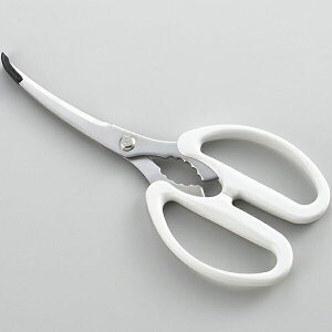 y[֑ΉzVJ@MOTTE@zbgv[gpē΂݁@YJ3195