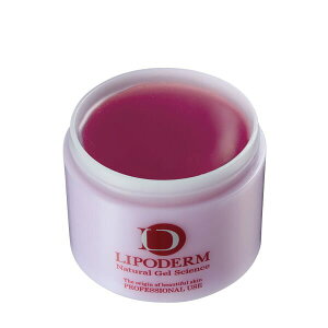 y150~OFFN[|ΏہzLa Sincia VVA@|f fR[gpbN qA_ 300g Ɩp QpbN ێpbN