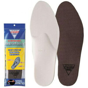 y[֑ΉzDSIS \{ RtH[g wV[ tC\[^Cv uE