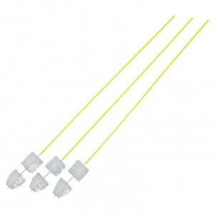 RCt@rǂ2AuV@3{@l܂@rǁ@ُL