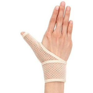 y[֑ΉzAt@bNX@T|[^[(Ep)@Ԍʁ@ew@bNX