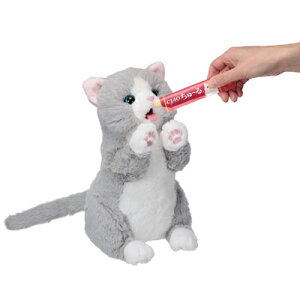 C@`邿傤!؂[ɂ@v[g@mߋ@ʂ