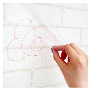 xmpbNX̔@\邾ȒP@ǎ̂Y110ԁ@h~@LYh~@\蒼\