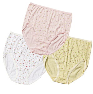 y[֑ΉzZ@@100[΂ԕvgV[c@3Fg@Ci[@݂ɂ@Kۂ^Cv