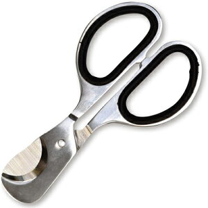 FINE@t@C@Xp!@Tv@FIN-983@܁@Tvg@ݖ