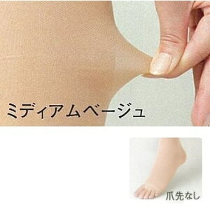 y[֑ztBbNX@bNXtBbg@×peXgbLO@nC\bNX@ܐȂ@@~fBAx[W