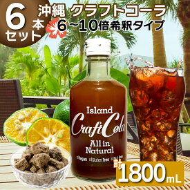 アイランド クラフトコーラ 300ml×6本 沖縄 国産 本格 クラフトコーラの素 素 キット スパイス オールスパイス カルダモン シロップ 希釈 6-10倍 送料無料 ソーダストリーム シロップ ドリンクメイト 炭酸割 ドリンクメイト