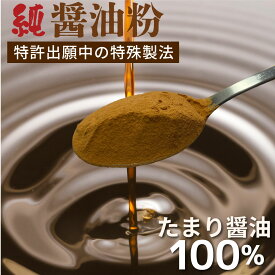 純醤油粉 100% 国産たまり醤油 無添加 230g 天然アミノ酸 旨み 甘さ 醤油 パウダー 粉末 旨味調味料 デキストリン不使用 甘味料無添加 減塩 55.9% 塩置換