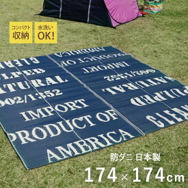 【P5倍】【クーポン】ラグ ござ い草 レジャーマット 屋外 室内 TORID トリド アルファベット柄 ブルー おしゃれ 正方形 174×174cm 国産 防ダニ 日本製 水かけOK 洗える 畳める レジャーシート リビング 子供部屋 イケヒコ ヤマト 佐川