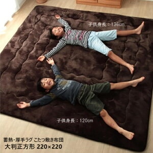 yP5{zyN[|z O  ӂӂ rbO 胉O ~zc 唻` 220×220 uE  ۉ h tl  A~V[g~M 7166231 CPqR }g 